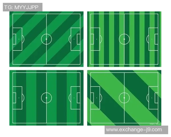 足球场场地尺寸详解及其对比赛的影响分析